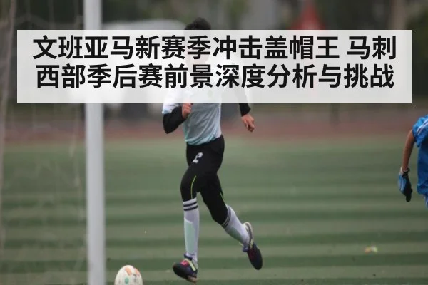 文班亚马新赛季冲击盖帽王 马刺西部季后赛前景深度分析与挑战