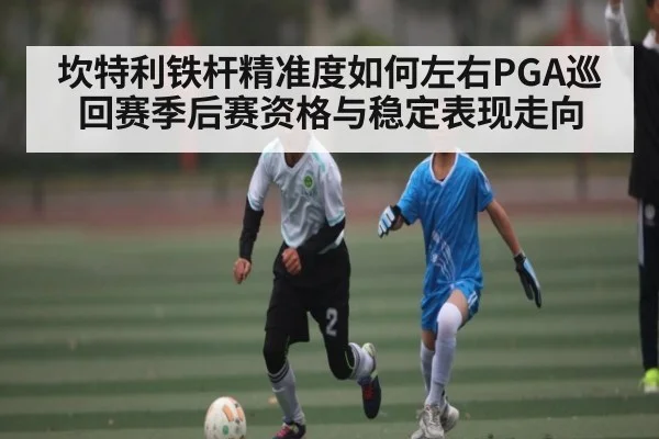 坎特利铁杆精准度如何左右PGA巡回赛季后赛资格与稳定表现走向
